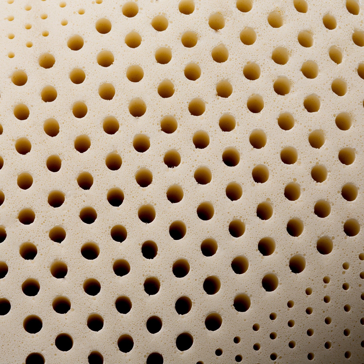 High loft firm latex pillow top